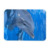 Bottlenose Dolphin Premium Magnet (Horizontal)