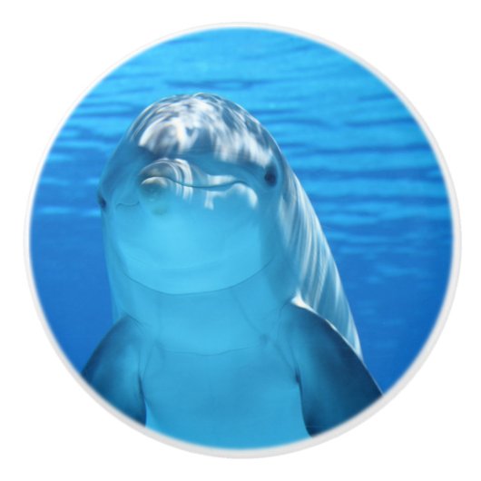 Bottlenose Dolphin sieht Kamera unter Wasser Keramikknauf (Vorderseite)