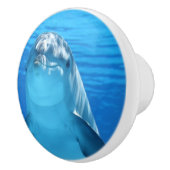 Bottlenose Dolphin sieht Kamera unter Wasser Keramikknauf (Rechts)