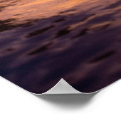 Bottlenose Dolphina (Tursiops truncatus) 8 Poster (Ecke)