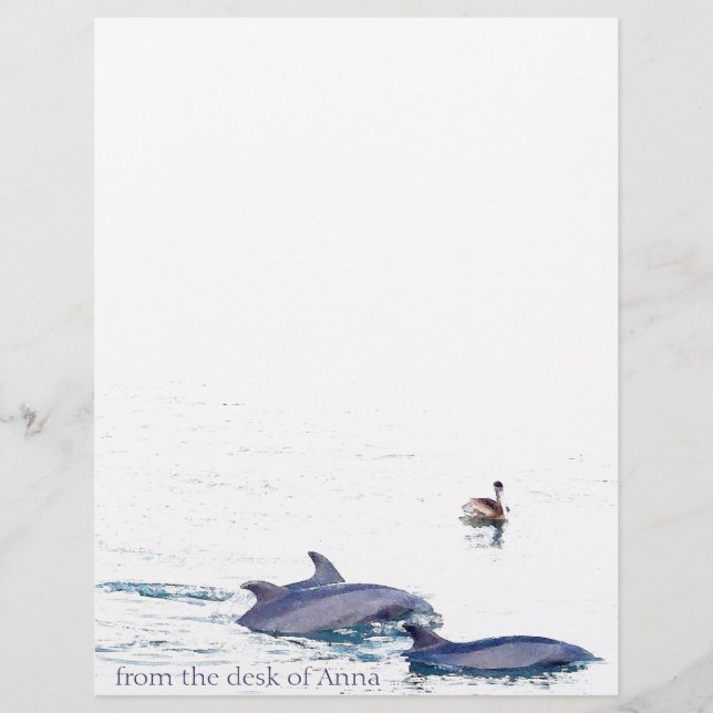 Bottlenose Dolphine Letterhead (Vorderseite)