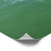 Bottlenose Dolphine (Tursiops truncatus) 4 Poster (Ecke)