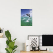 Bottlenose Dolphine (Tursiops truncatus) 4 Poster (Heimbüro)