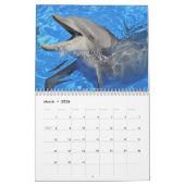 Bottlenose dolphins 12 month calendar kalender (Mär 2026)