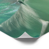 Bottlenose Dolphins Tursiops truncatus) 26 Poster (Ecke)