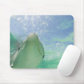 Bottlenose Dolphins Tursiops truncatus) Mousepad (Mit Mouse)