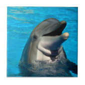 Bottlenose Fliese (Vorderseite)