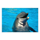 Bottlenose Fotodruck (Vorne)