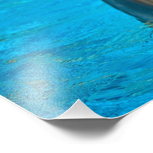 Bottlenose Fotodruck (Ecke)