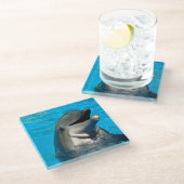 Bottlenose Glasuntersetzer (Schrägansicht)