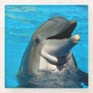 Bottlenose Glasuntersetzer