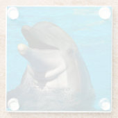 Bottlenose Glasuntersetzer (Rückseite)