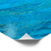 Bottlenose Poster (Ecke)
