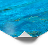 Bottlenose Poster (Ecke)