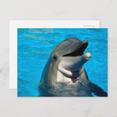 Bottlenose Postkarte (Vorne/Hinten)