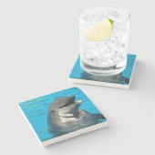 Bottlenose Steinuntersetzer (Seitenansicht)