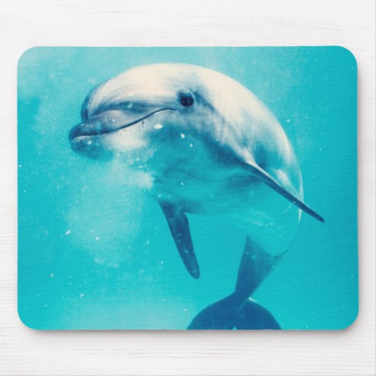 Bottlenosed Delphin Unterwasser Mousepad (Vorne)