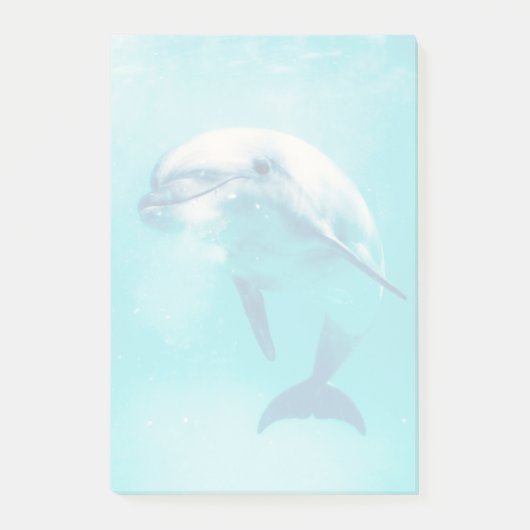 Bottlenosed Delphin Unterwasser Post-it Klebezettel (Vorderseite)