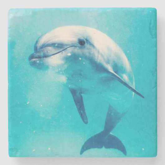 Bottlenosed Delphin Unterwasser Steinuntersetzer (Vorderseite)