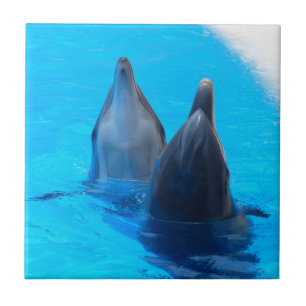 Bottlenosedelphin-Fischmarineozean unter Wasser Fliese