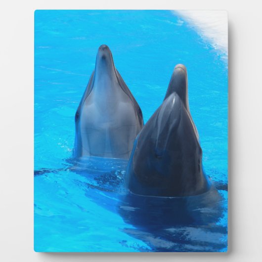 Bottlenosedelphin-Fischmarineozean unter Wasser Fotoplatte (Vorderseite)