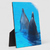 Bottlenosedelphin-Fischmarineozean unter Wasser Fotoplatte (Seite)