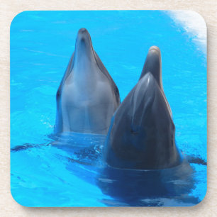 Bottlenosedelphin-Fischmarineozean unter Wasser Getränkeuntersetzer