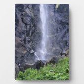 Bottom Bridalveil Falls, Yosemite, CA Fotoplatte (Vorderseite)