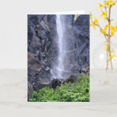 Bottom Bridalveil Falls, Yosemite, CA Karte (Gelbe Blume)