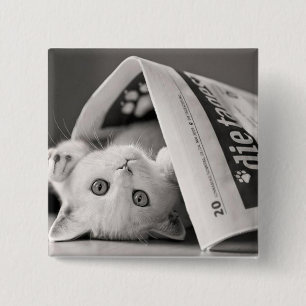 Botton Cat Button