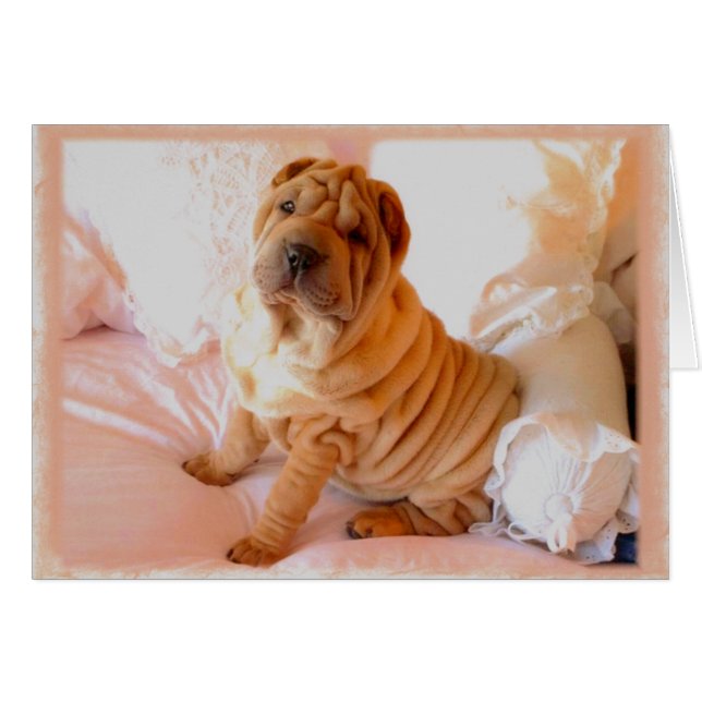 Boudoir (Vorderseite (Horizontal))