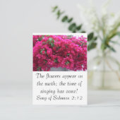 Bougainvilla - Schrift: Solomonensong 2:12 Postkarte (Stehend Vorderseite)