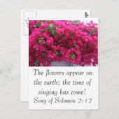 Bougainvilla - Schrift: Solomonensong 2:12 Postkarte (Vorne/Hinten)