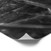 Bougainville Poster (Ecke)