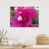 Bougainvillea Blossom Poster (Küche)