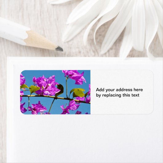 Bougainvillea-Blume (Insitu)