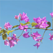 Bougainvillea-Blume Aufkleber (Vorderseite)