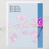 Bougainvillea-Blume Briefkopf (Vorne/Hinten)