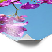 Bougainvillea-Blume Fotodruck (Ecke)
