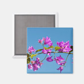 Bougainvillea-Blume Magnet (Vorderseite/Rückseite)