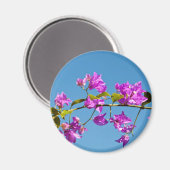 Bougainvillea-Blume Magnet (Vorderseite/Rückseite)
