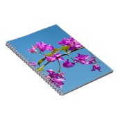 Bougainvillea-Blume Notizblock (Rechte Seite)