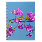 Bougainvillea-Blume Notizblock (Vorderseite)
