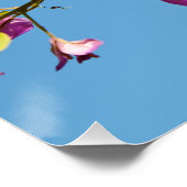 Bougainvillea-Blume Poster (Ecke)