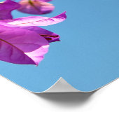 Bougainvillea-Blume Poster (Ecke)