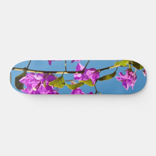 Bougainvillea-Blume Skateboard (Horizontal)