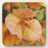 Bougainvillea Blume Untersetzer (Vorderseite)