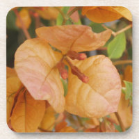 Bougainvillea Blume Untersetzer