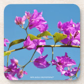 Bougainvillea-Blume Untersetzer (Vorderseite)