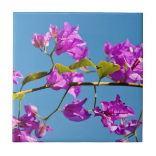 Bougainvillea-Blüten Fliese